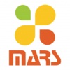 Mars Consulting