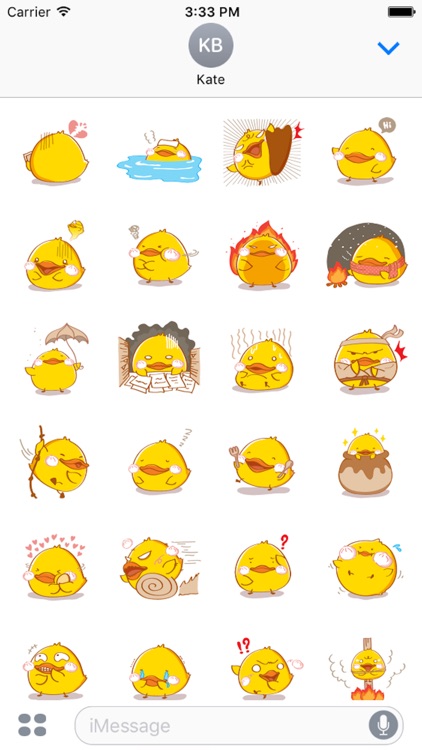 Fat Funny Duck