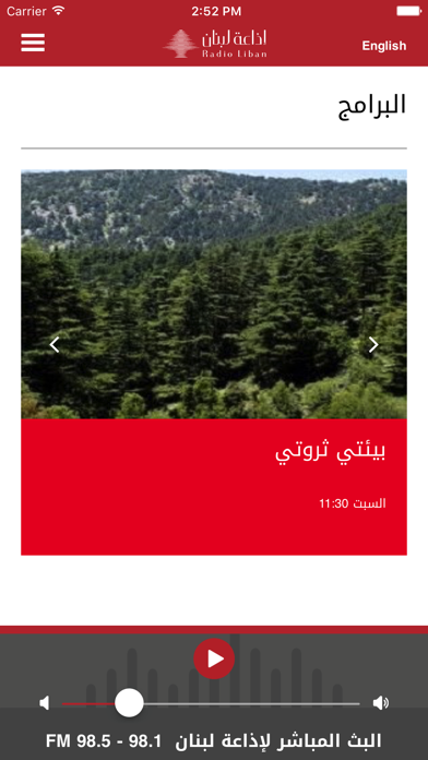 Radio Liban screenshot 2