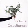 China Condiment