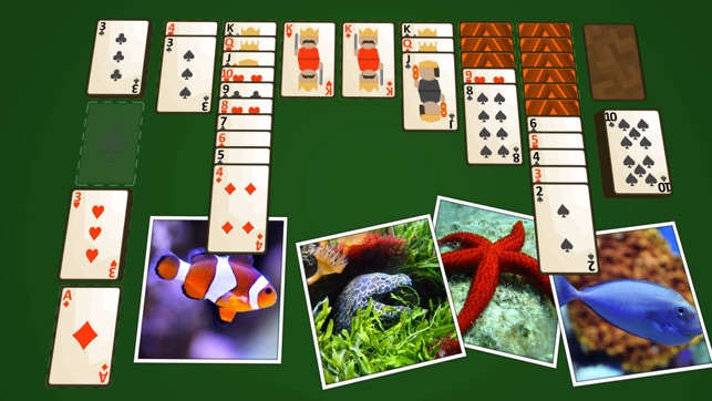 Solitaire Marine Life(圖1)-速報App