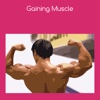 Gaining muscle