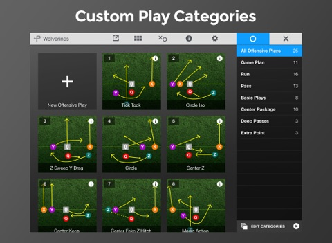 Flag Football Playmaker HD - náhled