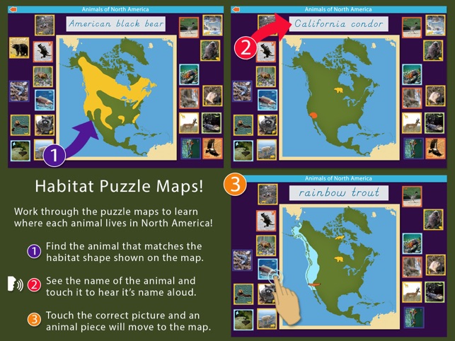 Animals of North America - Montessori Geography(圖3)-速報App