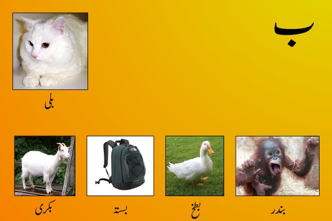 My First Book of Urdu HD - náhled