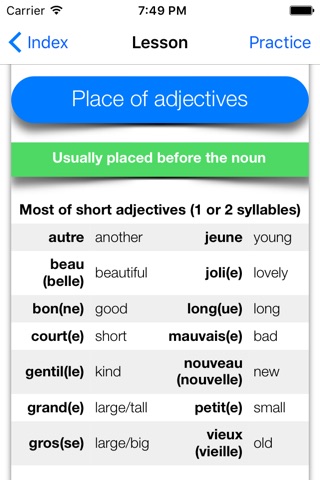 Learn French: ALL French Grammar screenshot 4