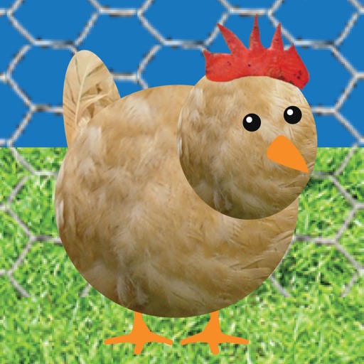 Chicken Pet Game iOS App