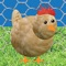 Chicken Pet Game