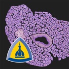 Johns Hopkins Atlas of Pancreatic Pathology