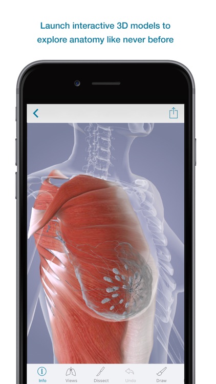 3D Body Explorer for Oncology + Hematology