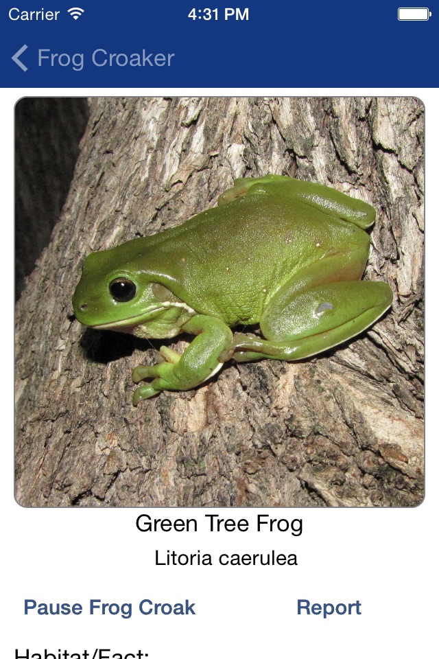 Frog Croaker screenshot 2