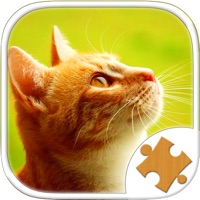 かわいいねこ 子猫 ジグソーパズル パズルゲーム おすすめ こどものゲーム