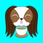 Brown White Japanese Chin