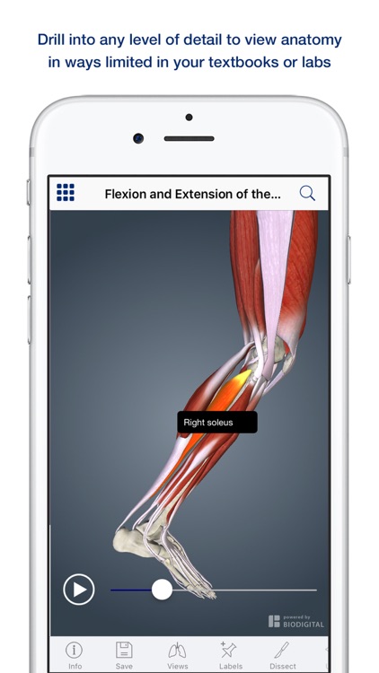 Muscle Anatomy: A Johns Hopkins Medicine 3D App