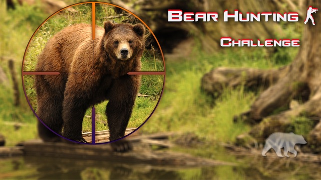 Bear Hunting - Challenge(圖1)-速報App