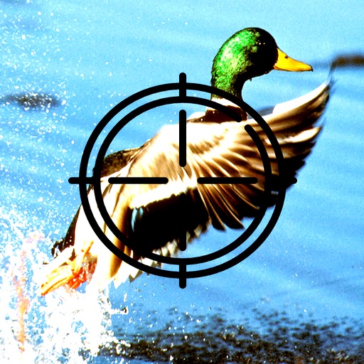 An Exciting Adventure - Hunting the Duck iOS App