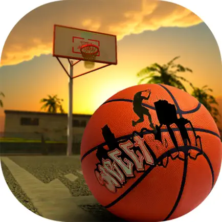 Street Basketball Training Читы