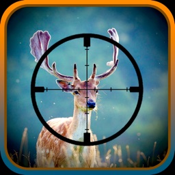Deer sniper adventures