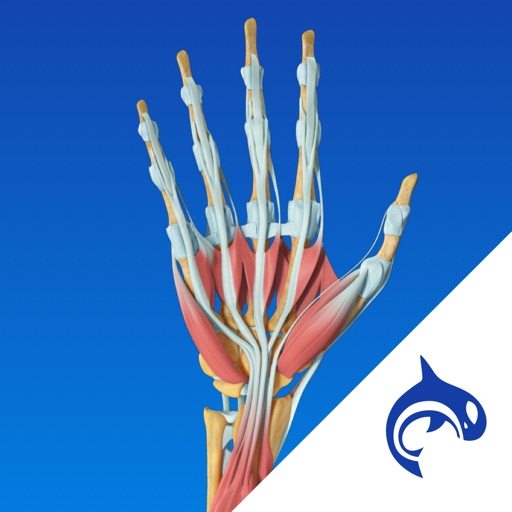 Hand Decide - Education & Engagement