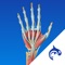 Hand Decide is a powerful educational tool