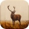 Deer Hunting Calls is designed specifically for deer hunters