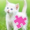 Toddler Games And Puzzles Jigsaw Cats Version