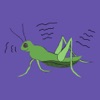 Icon Chirping Crickets