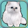 Adorable Puss the Kitten Run -Simulation game 2017