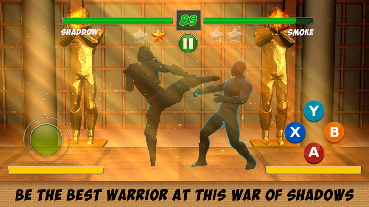 Shadow Kung Fu Fighting 3D - 2