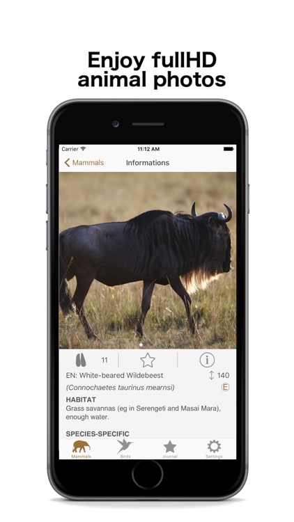 African Safariguide