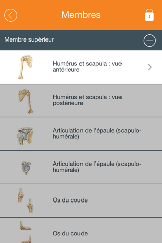 Mémofiches Anatomie Netter screenshot 2