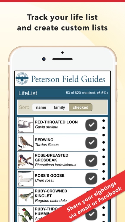 Peterson Bird Identifier & Field Guide screenshot-4
