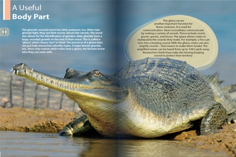 GharialCrocodiles screenshot 2