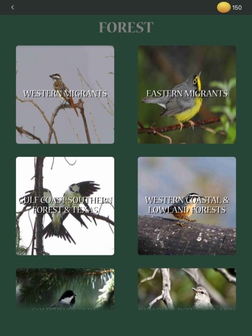 Kea: Create Birding Quiz Games screenshot 3