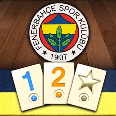 Activities of Fenerbahçe Okey