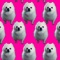 This is a super addictive and really hard fast paced game