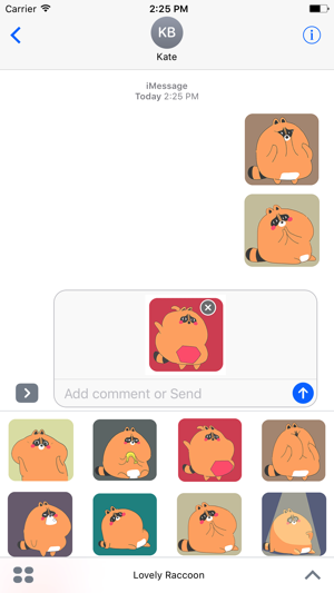 Lovely Raccoon - Animated Stickers And Emoticons(圖1)-速報App