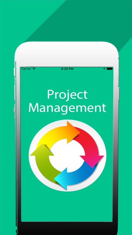 Learn Project Management