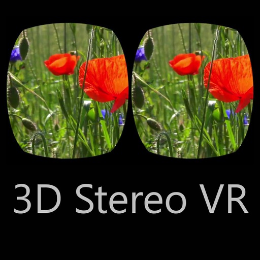 3D Stereo VR