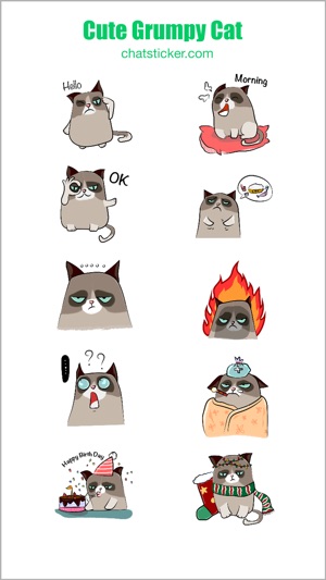 Cute Grumpy Cat(圖2)-速報App