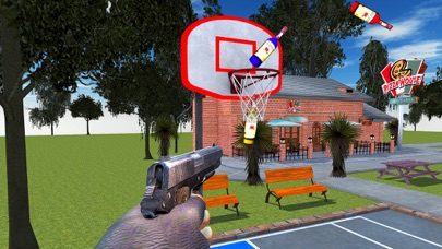 How to cancel & delete Bottle Shoot 3D Challenge Game from iphone & ipad 1