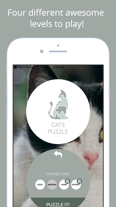 How to cancel & delete Cats Puzzle - Play with your favorite cats photos from iphone & ipad 3