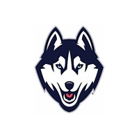 Dog Bed Shop UK pour PC