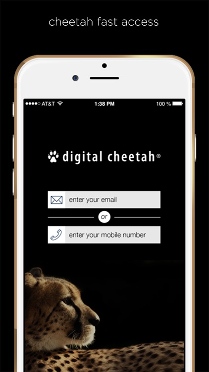 Cheetah
