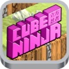 Cube Ninja Run