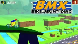 Game screenshot BMX Bike Stunt Race apk