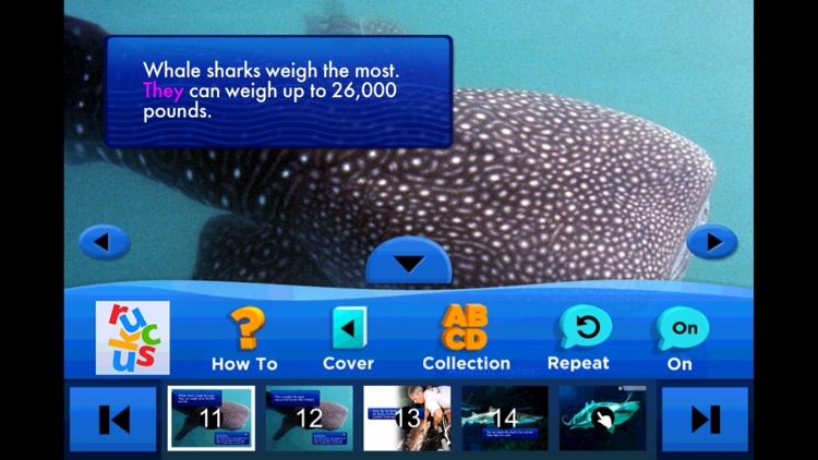 SeaWorld: Shark Goes to the Doctor