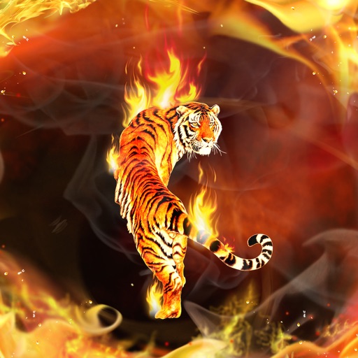 Fire Flame Wallpapers Icon
