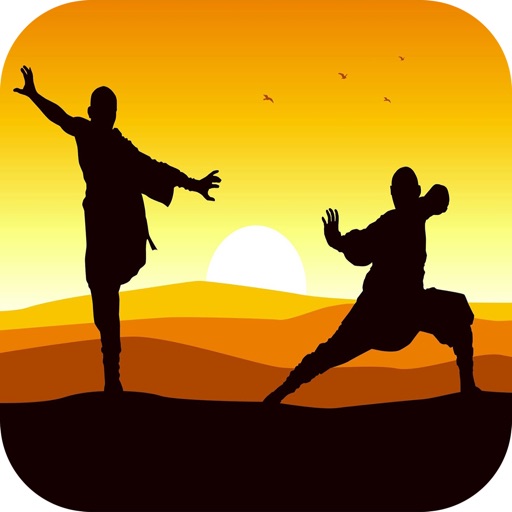 Kung Fu Training Video icon
