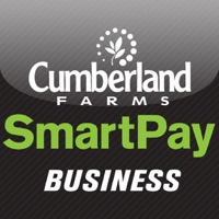  SmartPay Business Alternatives